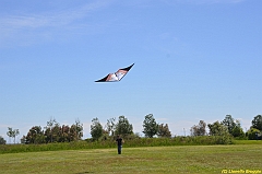 Venice kite festival_0111